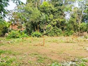 Kavling 100Jtan Tangerang Cisauk,Hanya 10Menit Stasiun Jatake lokasi di Tangerang Kab., tersedia melalui melalui situs Olx