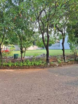 Kavling 500m di Giri Loka 2 BSD Bumi Tangerang Jual Murah lokasi di Tangerang Selatan Kota, tersedia melalui melalui situs Olx