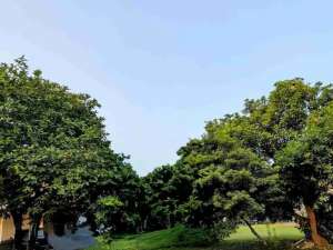 KAVLING6 JTm TERMURAH HOEK CITRA GRAN CIBUBUR DEKAT RAFFLES LRT HARJAMUKTI TOL JATIKARYA lokasi di Bekasi Kota, tersedia melalui melalui situs Olx