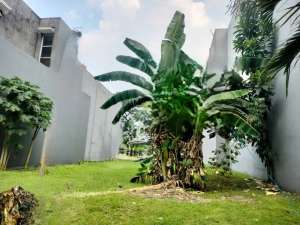 Kavling Badan di Anggrek Loka BSD City lokasi di Tangerang Selatan Kota, tersedia melalui melalui situs Olx