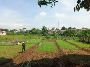 Kavling CICIL Bonus TV Dekat Stasiun Cilebut lokasi di Bogor Kota, tersedia melalui melalui situs Olx