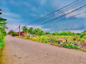 Kavling Cisauk Murah 1 Jt-an Dekat HIERA BSD, SHM lokasi di Tangerang Kab., tersedia melalui melalui situs Olx