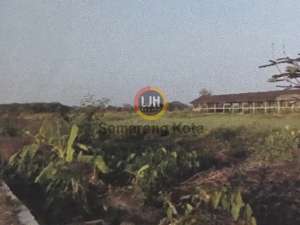 Kavling cocok untuk industri di Klaten lokasi di Klaten Kab., tersedia melalui melalui situs Olx