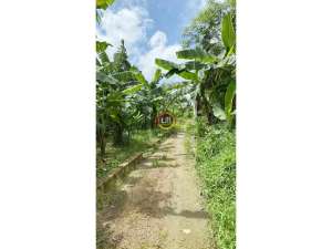 Kavling di Karangampel Kudus lokasi di Kudus Kab., tersedia melalui melalui situs Olx