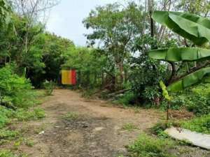 Kavling di Rorotan Cilincing Jakarta Utara Luas 6065 m2 lokasi di Jakarta Utara, tersedia melalui melalui situs Olx