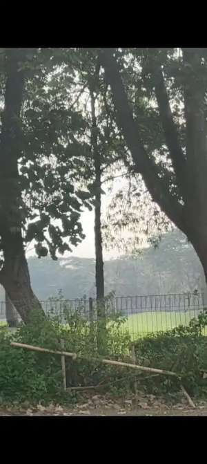 Kavling Gandeng Di Cluster Cendana Suvarna Lavon Cikupa Tangerang lokasi di Tangerang Kab., tersedia melalui melalui situs Olx