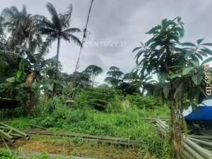 Kavling Hook Pinggir Jalan Raya Strategis Dekat Ke Kampus UIN lokasi di Tangerang Selatan Kota, tersedia melalui melalui situs Olx