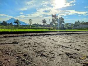 Kavling Jogja Adem dengan Suasana Asri View Merapi lokasi di Sleman Kab., tersedia melalui melalui situs Olx