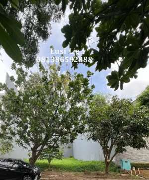 Kavling Katamaran Permai Pik luas 560 m2, harga murah lokasi di Jakarta Utara, tersedia melalui melalui situs Olx