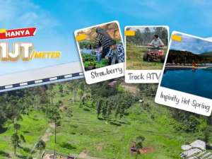 Kavling Kebun Strawberry Ekslusif di Jantung Wisata Ciwidey lokasi di Bandung Kab., tersedia melalui melalui situs Olx