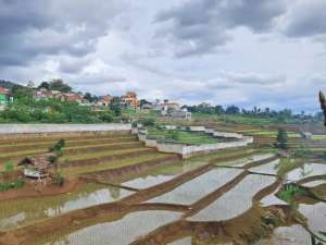 Kavling Kodya Bandung Terlaris Cicil Tanpa BI Checking lokasi di Bandung Kota, tersedia melalui melalui situs Olx