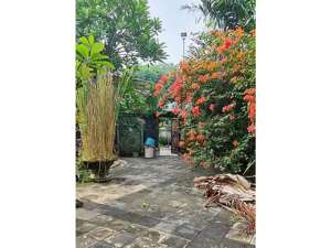 Kavling Murah, Danau Sunter Asri Barat lokasi di Jakarta Utara, tersedia melalui melalui situs Olx