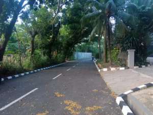 KAVLING MURAH DEPAN ART SBY, PURI CIKEAS, HANYA 5 JUTAAN PERMETER lokasi di Bogor Kab., tersedia melalui melalui situs Olx