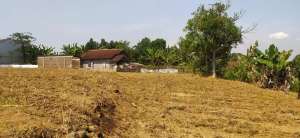 Kavling Murah Siap Bangun di Arcawinangun Purwokerto Timur lokasi di Banyumas Kab., tersedia melalui melalui situs Olx