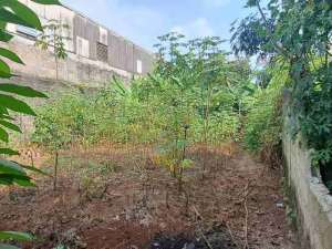 Kavling pinggir jalan hadap barat di buaran ciater lokasi di Tangerang Selatan Kota, tersedia melalui melalui situs Olx