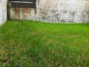 Kavling siap bangun di Griya Sutera ,Paku JayaAlam Sutera Tangerang lokasi di Tangerang Kota, tersedia melalui melalui situs Olx