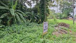 KAVLING STRATEGIS DI TANAH SAREAL RAYA DEKAT KAMPUS NUSA BANGSA BOGOR lokasi di Bogor Kota, tersedia melalui melalui situs Olx