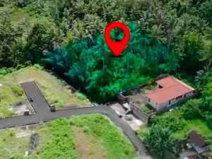 Kavling Strategis Kawasan Villa Mewah Ubud lokasi di Gianyar Kab., tersedia melalui melalui situs Olx