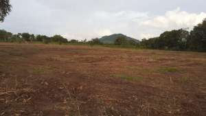 Kavling Syariah Dekat Makassar lokasi di Maros Kab., tersedia melalui melalui situs Olx