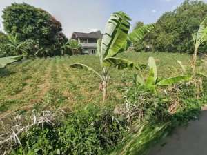 Kavling Tanah Luas 1134 m2 di Jalan Raya Tajur Bogor JABAR lokasi di Bogor Kota, tersedia melalui melalui situs Olx