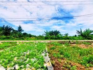 Kavling Tanah Murah di Cisauk Dekat HIERA BSD, 1 Jt-an SHM lokasi di Tangerang Kab., tersedia melalui melalui situs Olx