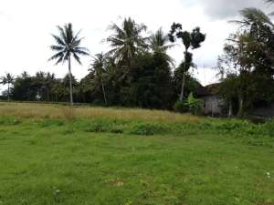 Kavling Villa Borobudur ,Lokasi strategis dan nyaman lokasi di Yogyakarta Kota, tersedia melalui melalui situs Olx