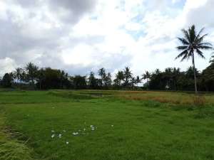 Kavling Villa dijual murah dekat Candi borobudur ,SHM P 200 jutaan lokasi di Yogyakarta Kota, tersedia melalui melalui situs Olx