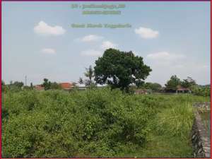 Kavling Villa Kaliurang dekat kampus UGM, shm p tepi aspal papasan lokasi di Yogyakarta Kota, tersedia melalui melalui situs Olx