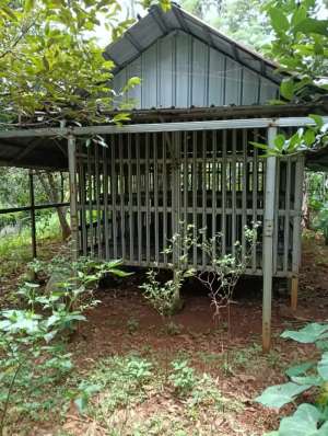 Kebun alpukat miki Tanah Ajb 1.200 m di Cariu kab. Bogor lokasi di Bogor Kab., tersedia melalui melalui situs Olx