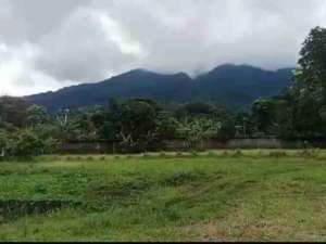 KEBUN DURIAN VIEW GUNUNG SALAK GUNUNG PANGRANGO lokasi di Bogor Kab., tersedia melalui melalui situs Olx