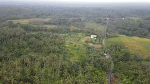 Kebun Durian View Sawah Terasering di Tabanan lokasi di Tabanan Kab., tersedia melalui melalui situs Olx