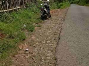 KEBUN JERUK AKTIF BERPRODUKTIVITAS TINGGI PETUNGSEWU DAU MALANG lokasi di Malang Kab., tersedia melalui melalui situs Olx