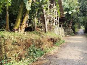 KEBUN PEMANDANGAN GUNUNG DEKAT SAWAH DEKAT WARGASEJUK BANGET. lokasi di Purwakarta Kab., tersedia melalui melalui situs Olx