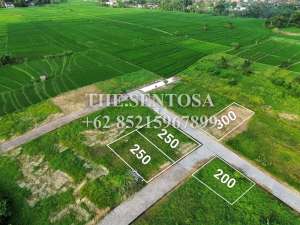 KEDUNGU dekat CANGGU PERERENAN lokasi di Kab. Badung, tersedia melalui melalui situs Olx