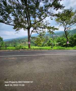 Komersial Area. Dayurejo Prigen Pasuruan lokasi di Pasuruan Kab., tersedia melalui melalui situs Olx