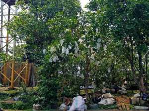 KSB strategis ditengah perumahan bs KPT diBanyumanik lokasi di Semarang Kota, tersedia melalui melalui situs Olx