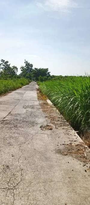 Lahan Industri 1,9 Ha di Boyolali, Sebelah Pabrik So Good Food lokasi di Boyolali Kab., tersedia melalui melalui situs Olx