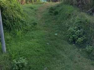 Lahan Industri Mojokerto lokasi di Mojokerto Kab., tersedia melalui melalui situs Olx