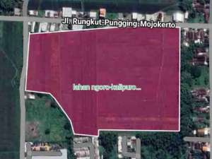 lahan industri ngoro mojosari murah di bawah harga pasar lokasi di Mojokerto Kab., tersedia melalui melalui situs Olx