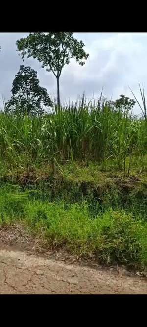 Lahan kebun 10 HA hanya 18 km dari Gerbang tol Wonosari Malang lokasi di Malang Kab., tersedia melalui melalui situs Olx