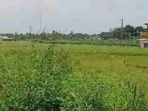 LAHAN LUAS UNTUK INVESTASIKOSAN DEKAT KAMPUS IPB DRAMAGA BOGOR lokasi di Bogor Kab., tersedia melalui melalui situs Olx