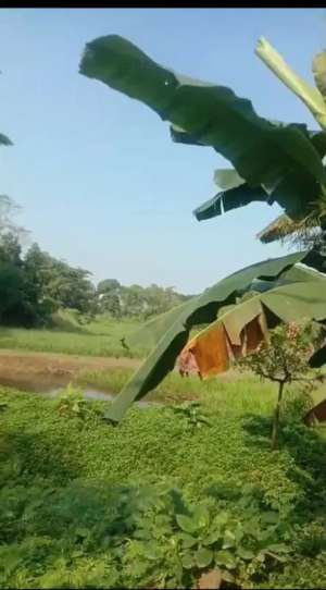 Lahan murah harga NJOP bisa termin di Bedahan, Depok lokasi di Depok Kota, tersedia melalui melalui situs Olx