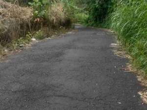 Lahan Perumahan lokasi di Minahasa Utara Kab., tersedia melalui melalui situs Olx