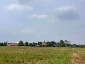 Lahan Potensial 6,9 Ha di Karangbahagia, Cikarang Utara lokasi di Bekasi Kota, tersedia melalui melalui situs Olx