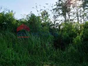 Lahan Sejuk di Malang, Ideal untuk Coffee Shop atau Rest Area Modern lokasi di Malang Kota, tersedia melalui melalui situs Olx