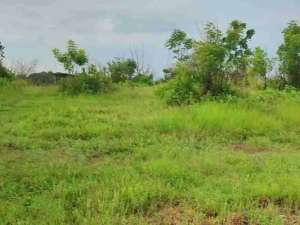 Lahan sewa 34ha di Situbondo lokasi di Situbondo Kab., tersedia melalui melalui situs Olx