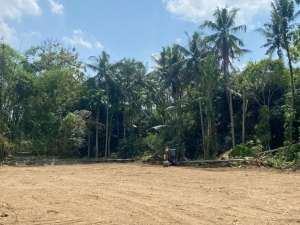 Lahan SHM Premium di Area Alam Alami dengan Udara Segar lokasi di Sleman Kab., tersedia melalui melalui situs Olx