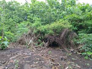 Land for Leasehold in Belimbing Sari Pecatu Bali lokasi di Kab. Badung, tersedia melalui melalui situs Olx