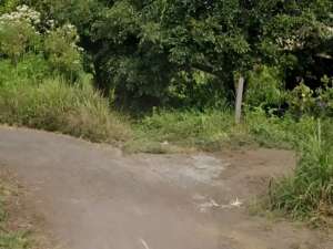 Land for sale in Kintamani, Bali lokasi di Kab. Bangli, tersedia melalui melalui situs Olx