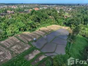 Land for sale in Ubud, Bali lokasi di Gianyar Kab., tersedia melalui melalui situs Olx